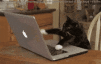 Gahs GIF by Rocket Mortgage