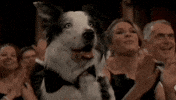 Gahs GIF by Rocket Mortgage