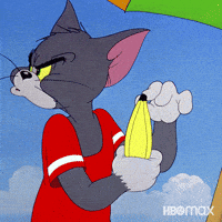 Chasing Tom And Jerry GIF by HBO Max