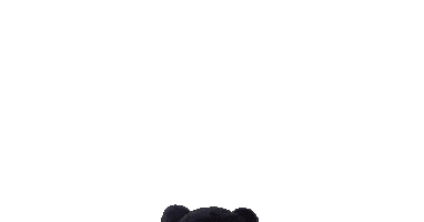 Football Bears Sticker by University of Central Arkansas
