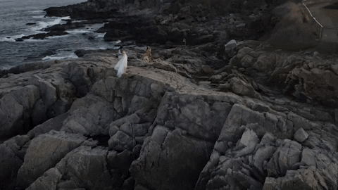 Kristaa87 giphyupload GIF