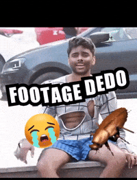 Elvish Manisha GIF
