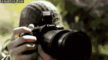 war wtf GIF by Cheezburger