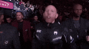 Mixed Martial Arts Sport GIF by UFC