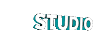 StudioPolpo 3d lettering studio polpo Sticker
