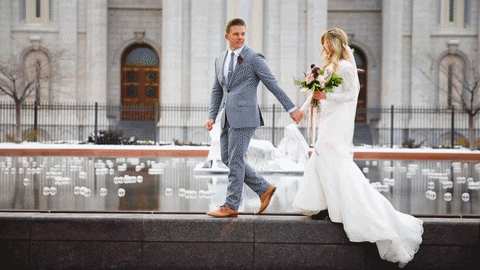 GIF by Stupid Raisins