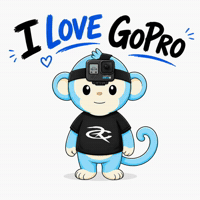 Blue Monkey GIF by Respective