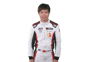 happy touring car Sticker by FIA WTCR
