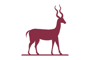 studioantelope filmproduction antelope productionhouse studioantelope Sticker