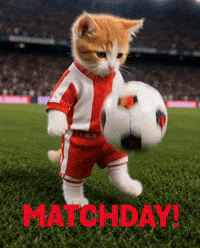 Playing World Cup GIF