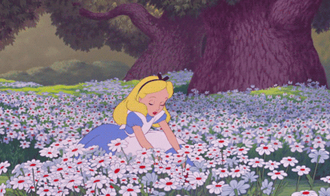 Alice In Wonderland Disney GIF