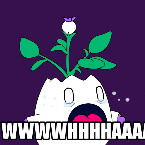 No Way What GIF by Magic Eden