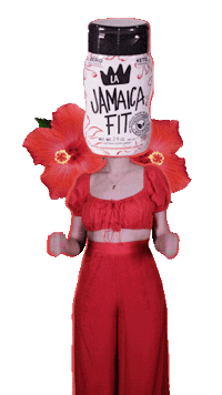 Nutriologa Sticker by Marcela Bortoni Nutrición Avanzada