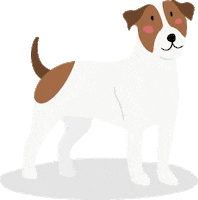 Dog Jack Sticker by Barkibu