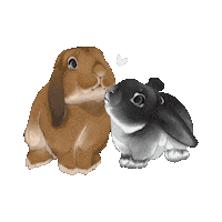 Bunny Rabbit Sticker