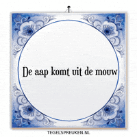 Nl Spanning GIF by Tegelspreuken.nl
