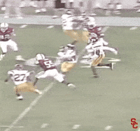Fight On Reggie Bush GIF by USC Trojans