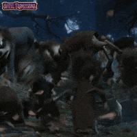 sonyanimation  GIF