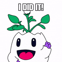 Happy I Did It GIF by Magic Eden