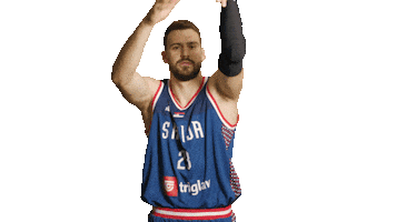 Fiba Sticker by sportmts