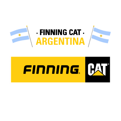 Finning giphyupload finning cat finning sudamerica finningcat Sticker