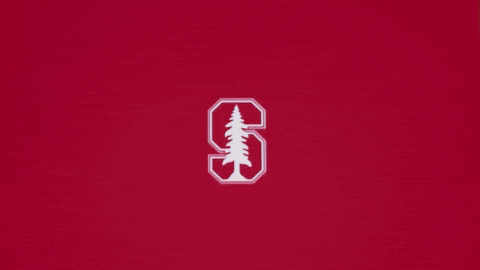 Excited Baseball GIF by Stanford Athletics