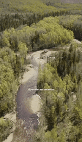 jenniferaccomando thoughts toxic negative immune health GIF