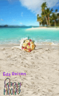 edareisenoffenbach travel agency travelling reisen GIF