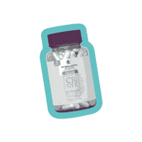 Crust Sticker by CrustShellPower