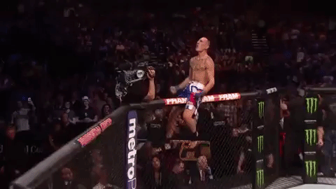 ufc 206 GIF
