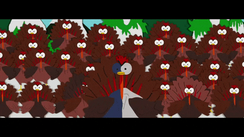 serious turkeys GIF by South Park 