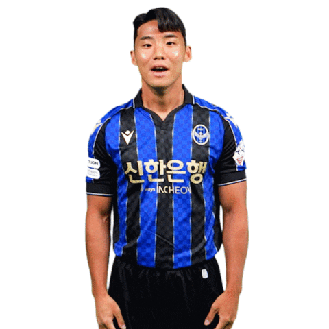 인천유나이티드 Sticker by Incheon United FC