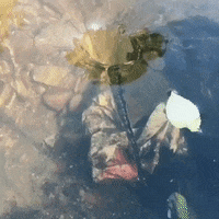 Water Wow GIF by JustViral.Net