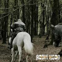 robin hood wales GIF by Signature Entertainment