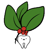 Christmas Flower Sticker