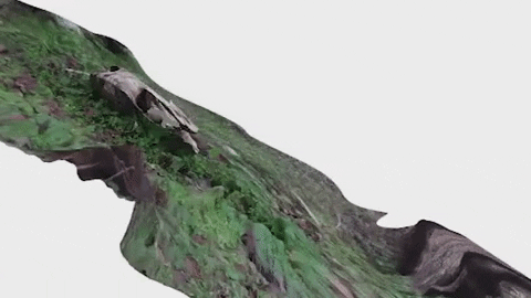 karihigh giphygifmaker 3d beach skeleton GIF