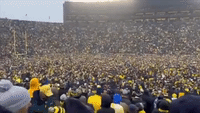 Michigan Fans Flood Football Field Following Win