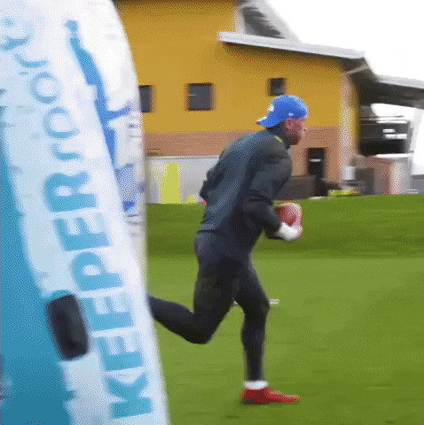 Premier League Football GIF by Wolves