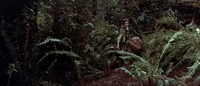 return of the jedi episode 6 GIF by Star Wars