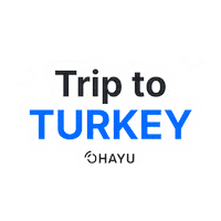 Travel Vacation Sticker by Ohayu eSIM