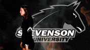gomustangsports volleyball gomustangsports stevensonuniversity suwvb GIF