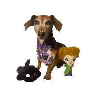 Hocus Pocus Daschund Sticker by Geekster Pets