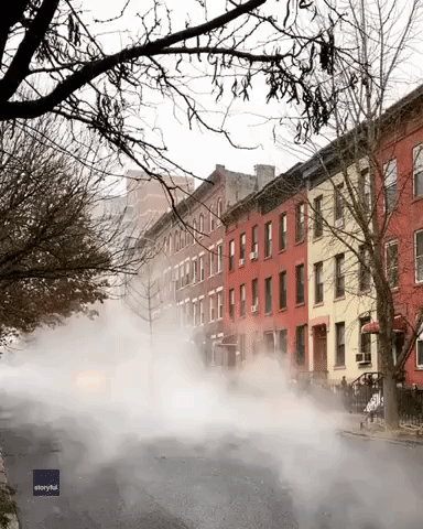 Mist Shrouds Brooklyn Street Amid First Snow of the Season