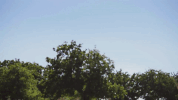 episode 5 open relationship GIF by Portlandia