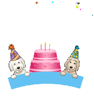 Happy Birthday Dog Collar Sticker by pancakeandwaffles