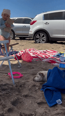 cuteanimalland giphyupload GIF
