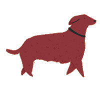 Dog Bernie Sticker