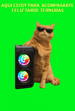 Feliz Aqui Estoy GIF by Murcianys LLC