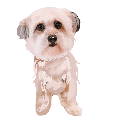 Dog Sticker