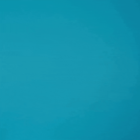 unicorn what GIF by Agence WAT - We Are Together